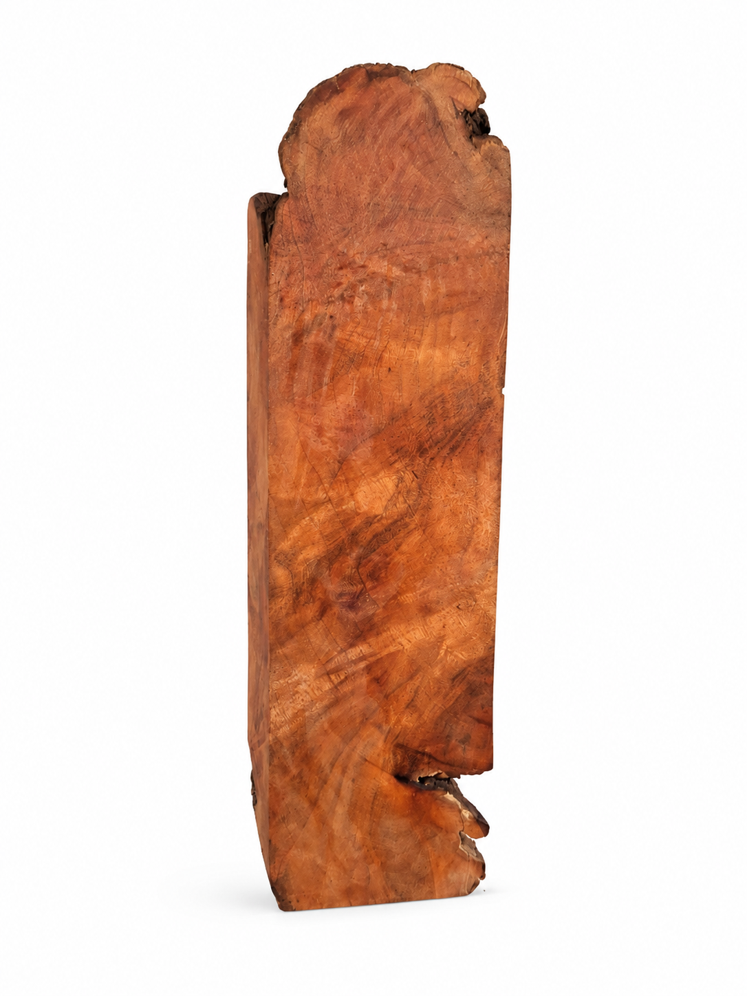 Opposite face of Maple burl showing reddish-amber swirling grain