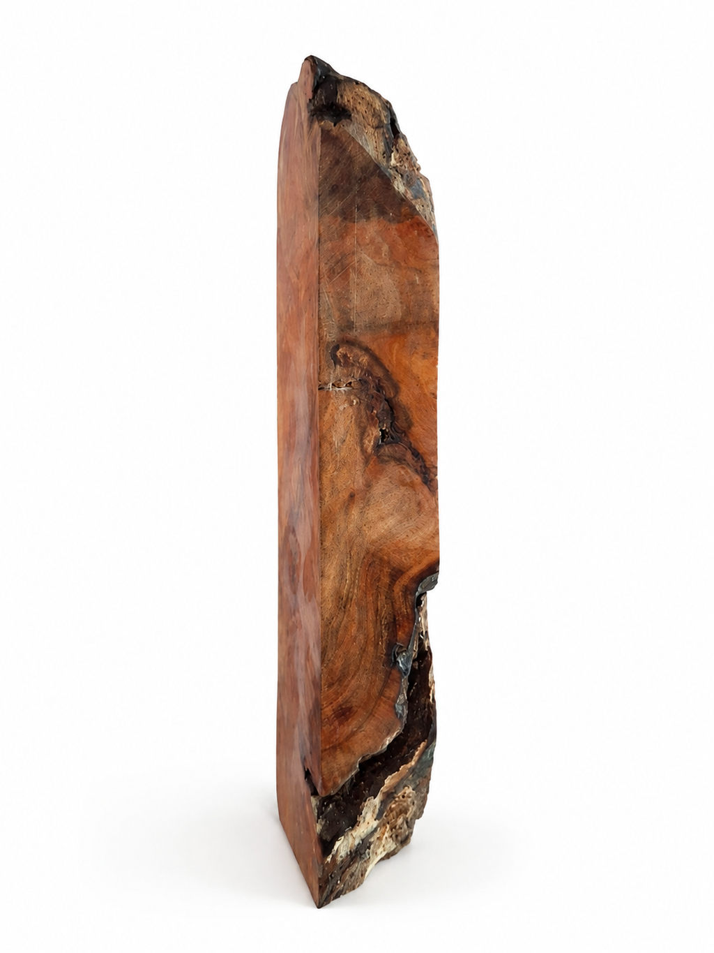 Angled Maple burl piece showing thickness, bark and natural cavities