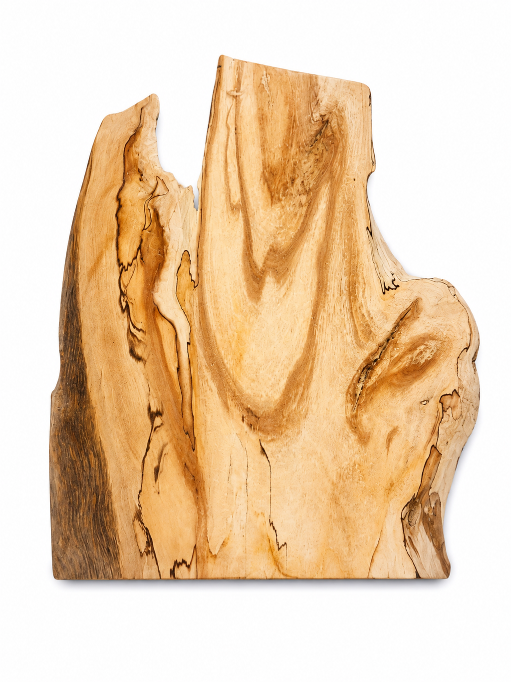 Spalted Birch slab with organic edges and natural spalting