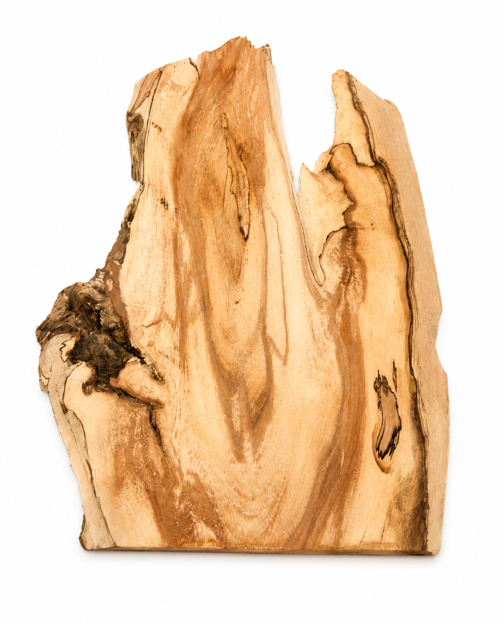 Spalted Birch natural slab, 11.25 in, organic forest figure