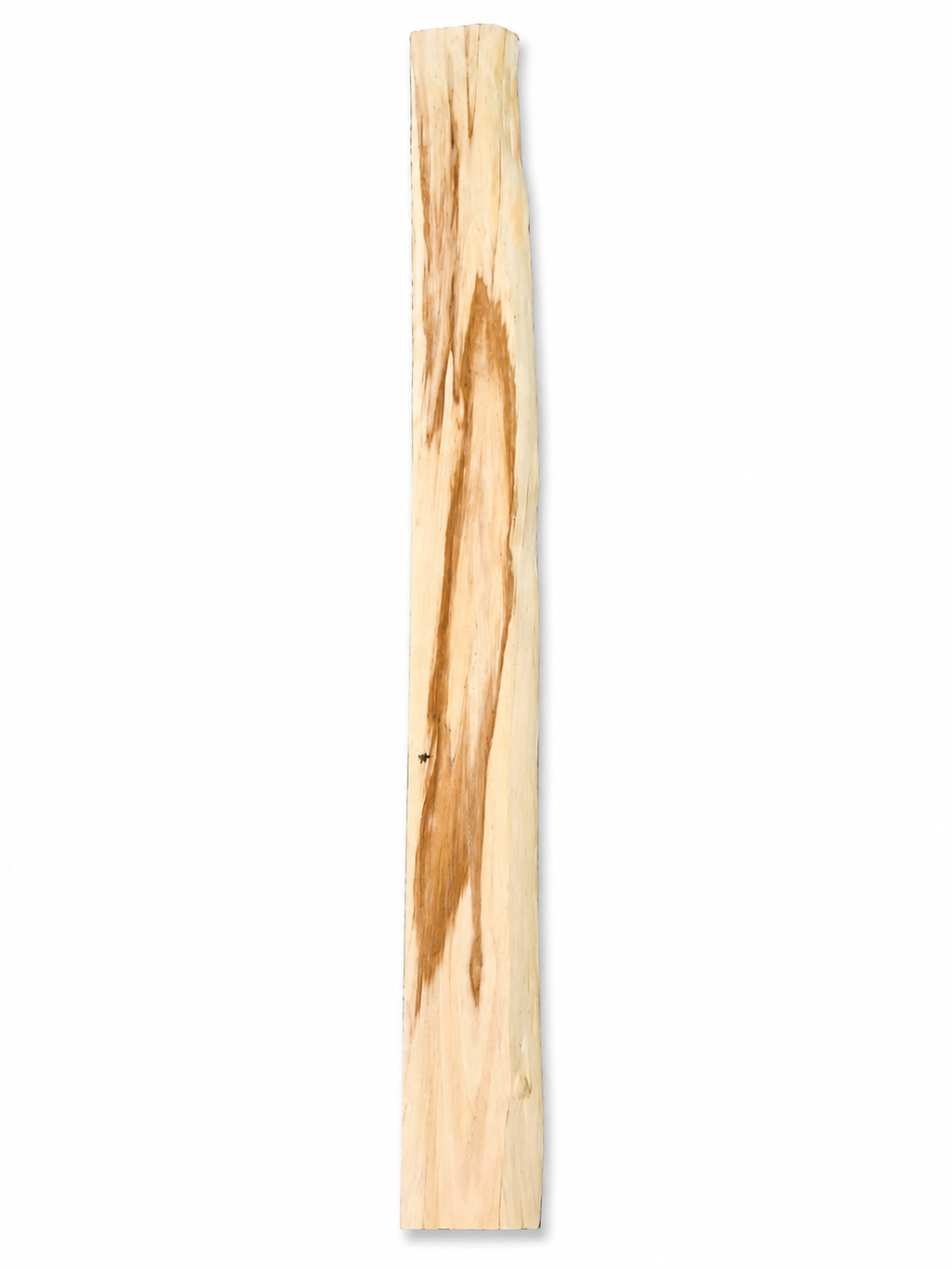 Spalted Paper Birch White Birch natural forest piece #3, 44.375 in