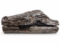 Silver Hollow Form wood and epoxy sculpture with hollow organic shape
