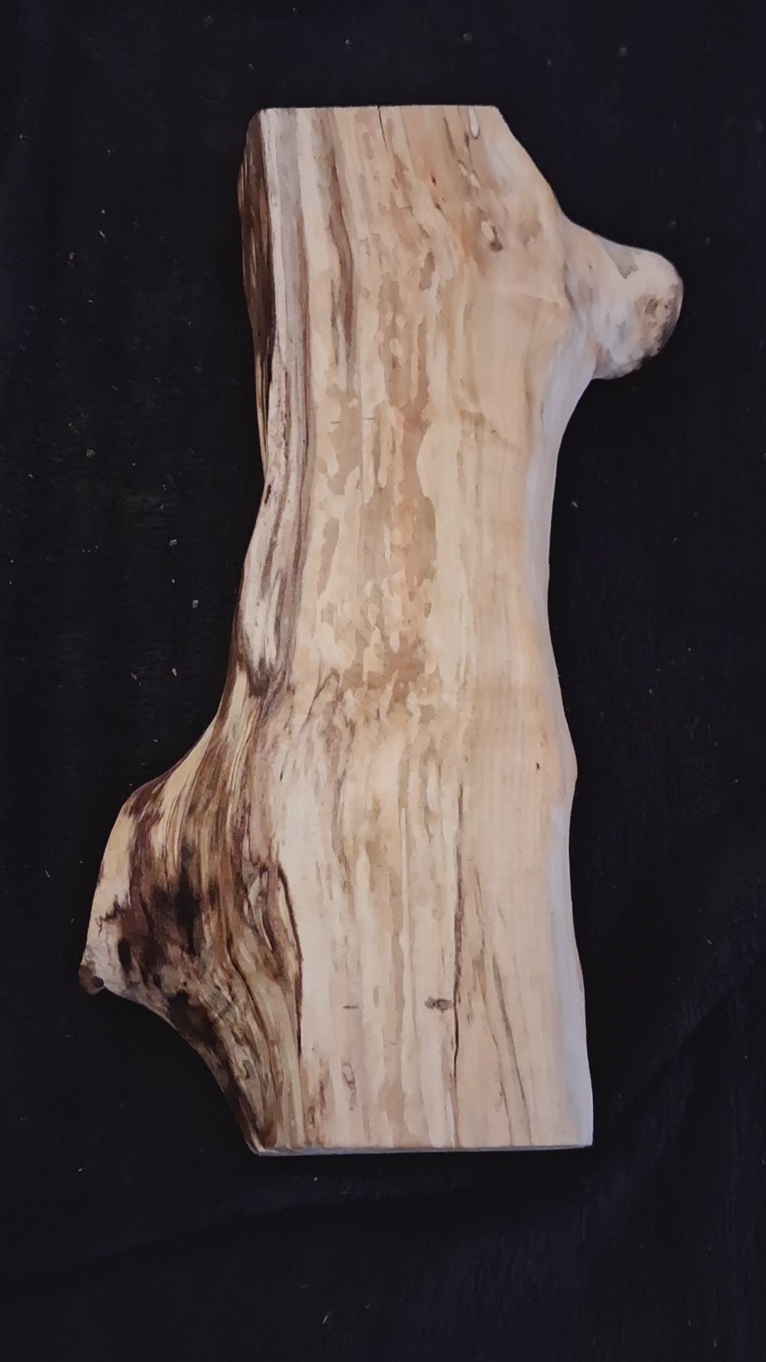 Video showing the organic contours, dark markings and knot cavity of the 11-inch maple centerpiece