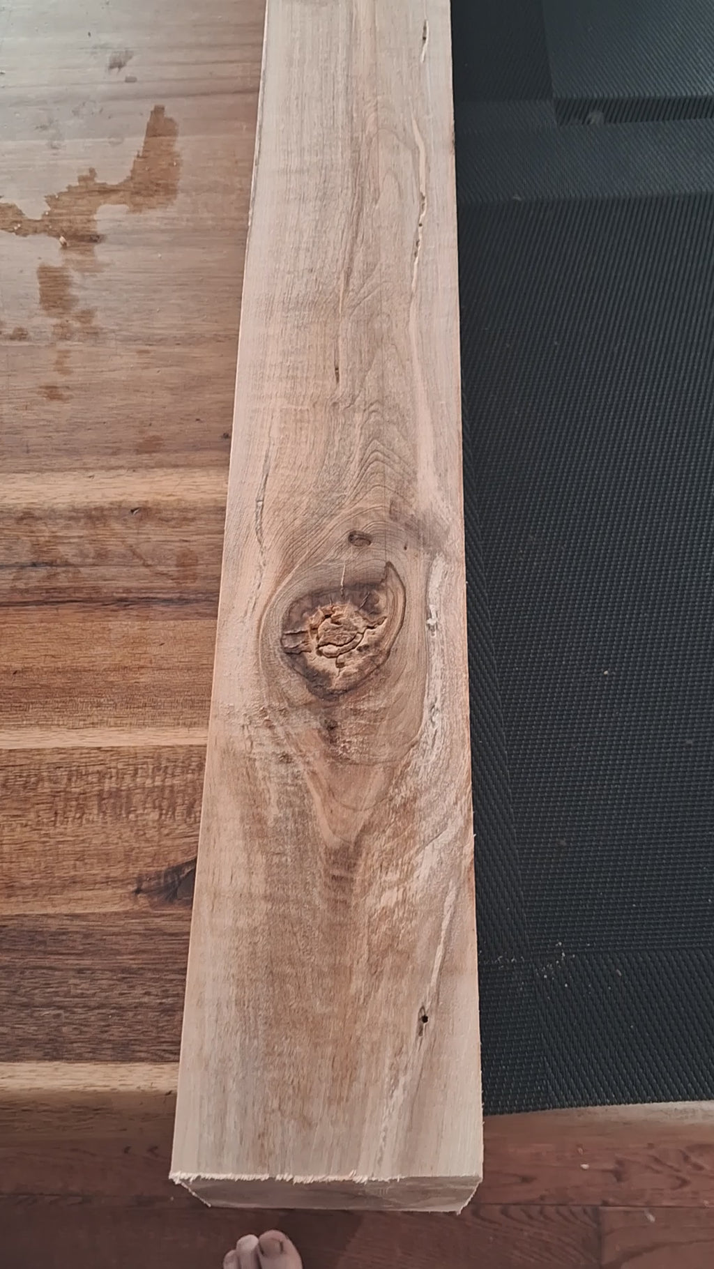 Video showing knots, insect galleries, edges and faces of the 33½-inch spalted maple timber